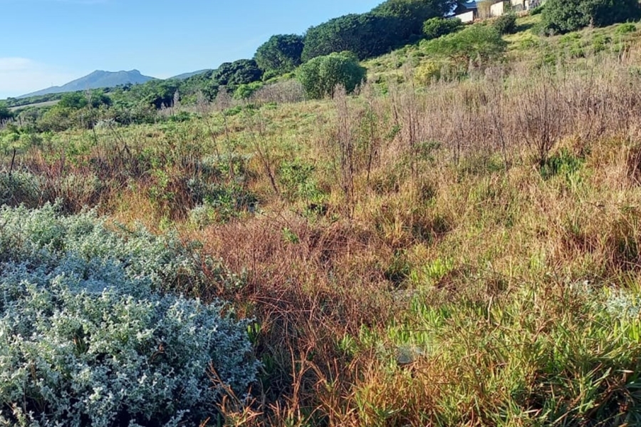 0 Bedroom Property for Sale in Albertinia Western Cape